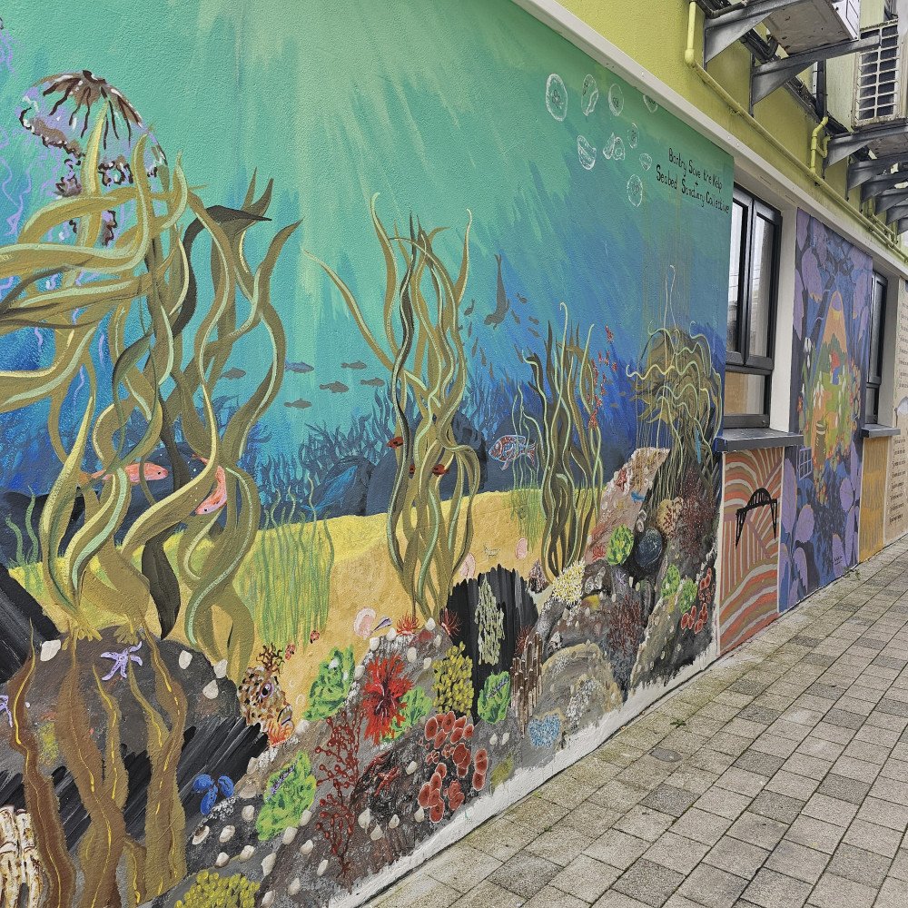 Skibbereen Urban Arts Project