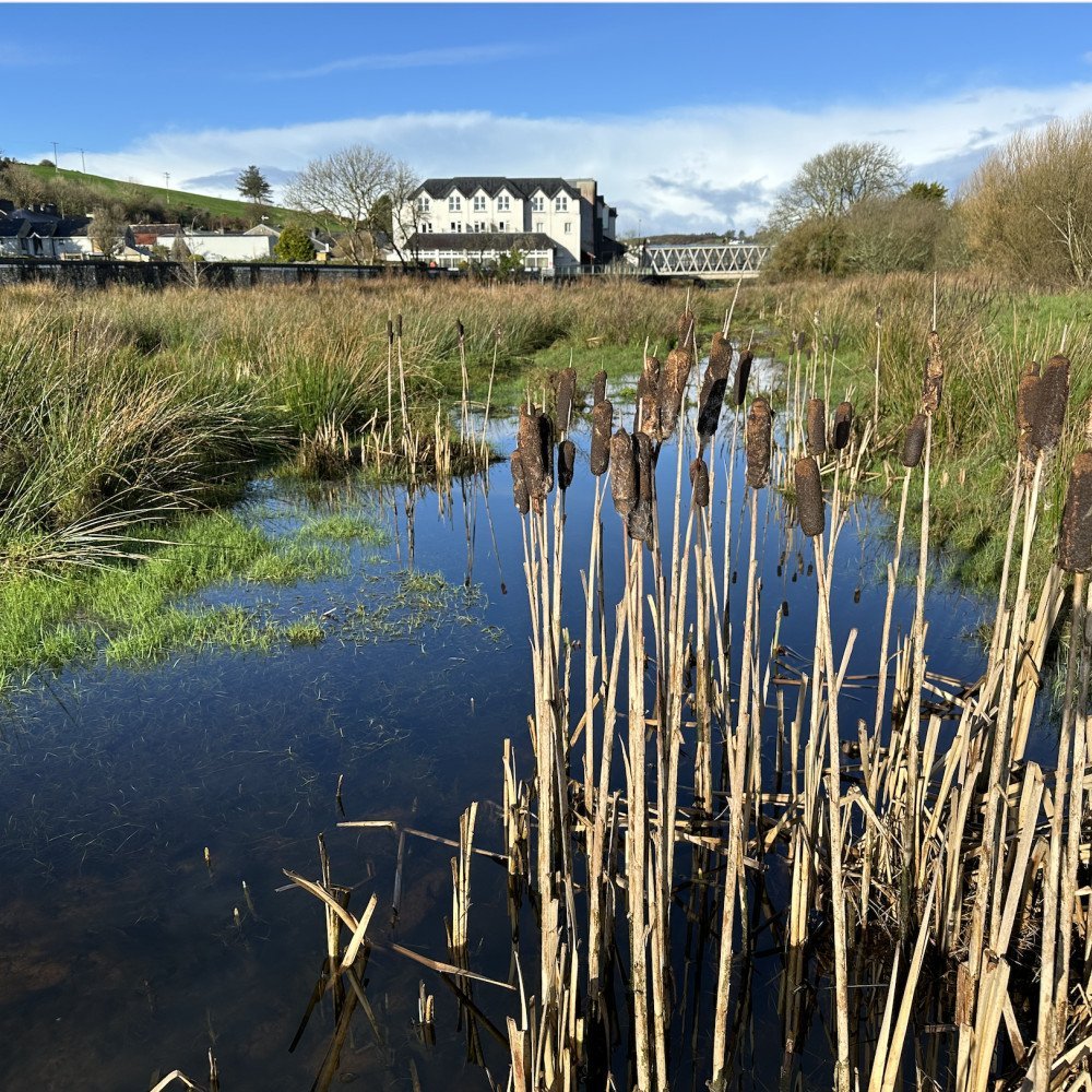 'Draw Me A River’ Ilen River Sketching Workshop